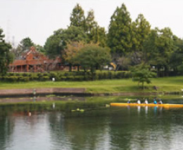 水前寺江津湖湧水群（熊本市）江津湖